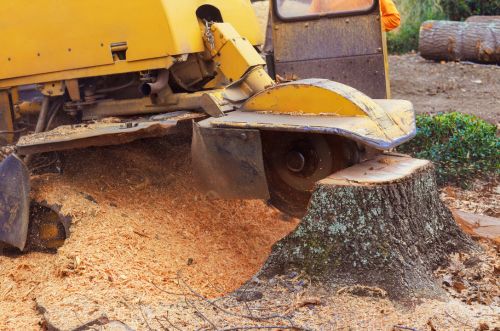 Emergency stump removal in Minneapolis MN