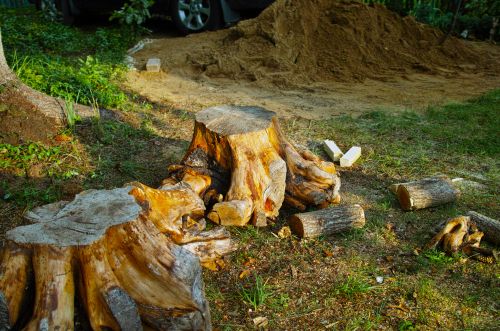 Large stump removal in Minneapolis MN
