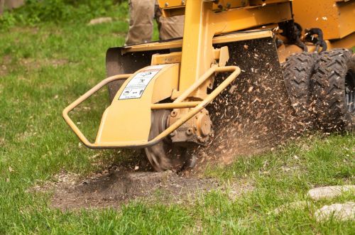 Narrow gate stump grinder service in Minneapolis, MN